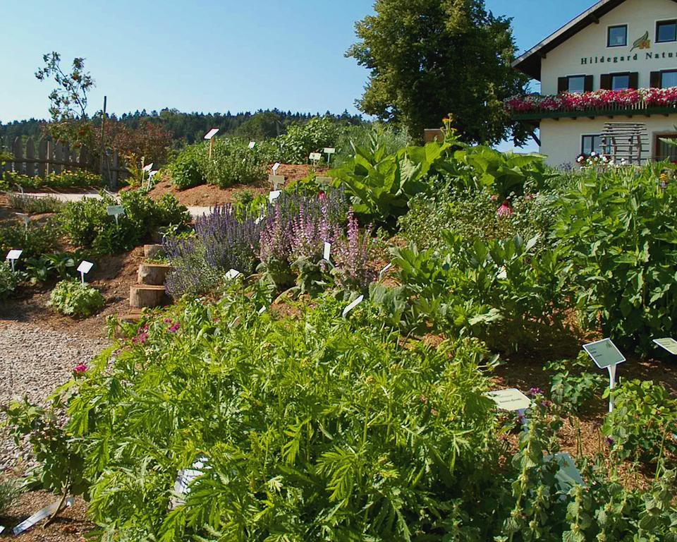 Hildegard Naturhaus Kirchberg bei Mattighofen Екстер'єр фото